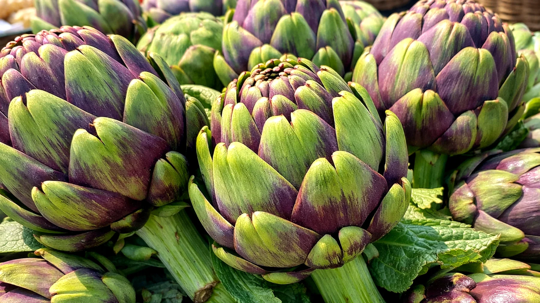 Come riconoscere se i carciofi sono di qualità prima di acquistarli o cucinarli in casa"